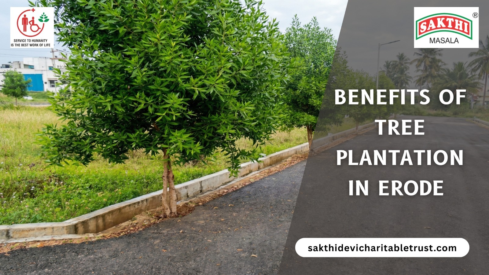 LongTerm Benefits of Tree Plantation in Erode for Environment and Community