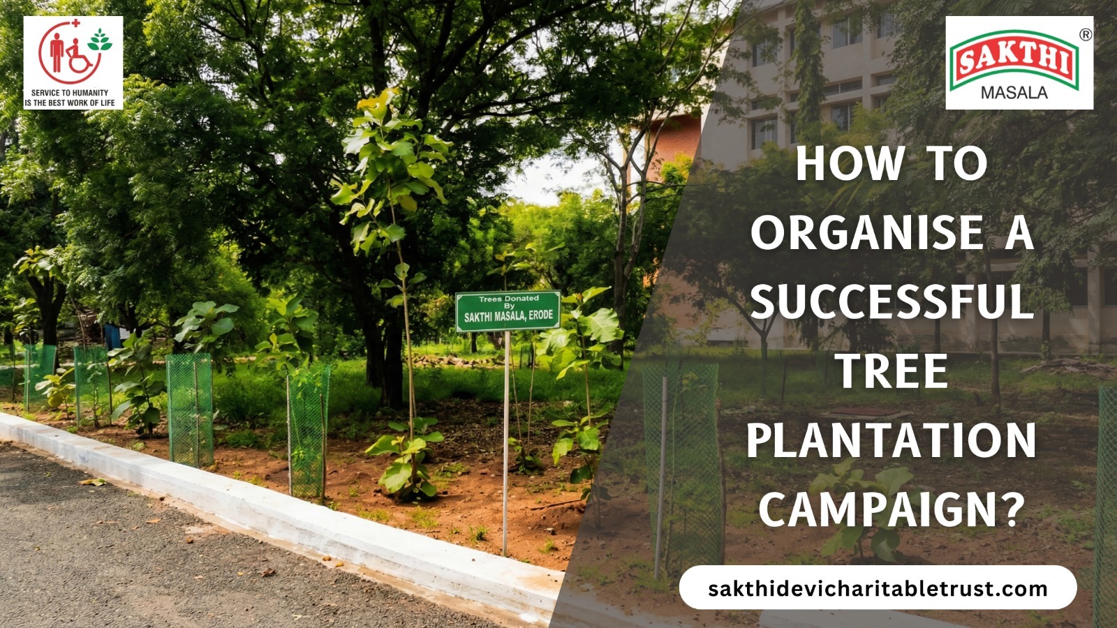 How to Organise a Successful Tree Plantation Campaign, tree plantation campaign, community tree plantation, tree plantation awareness program, NGO tree planting initiative, environmental awareness campaign, sapling distribution program, sustainable tree planting, school tree plantation program, college tree plantation drive, community environmental initiatives, tree plantation in India, social forestry program, green movement initiative, tree conservation awareness, volunteer tree planting program,